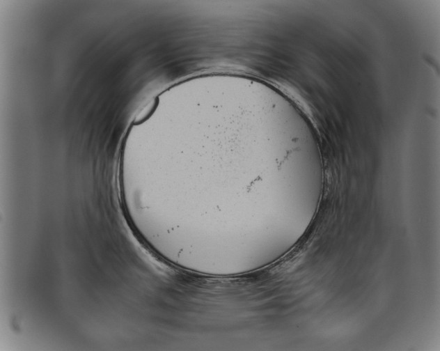 X0000097801391200804041305