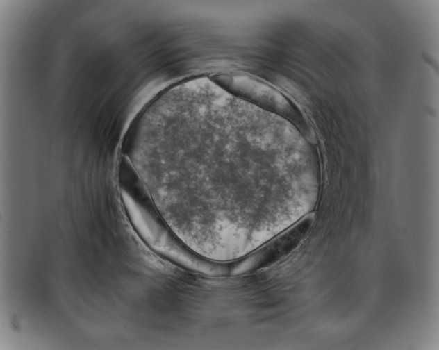 X0000097801392200804041305