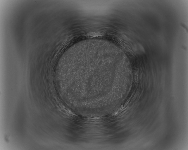 X0000097801393200804041304