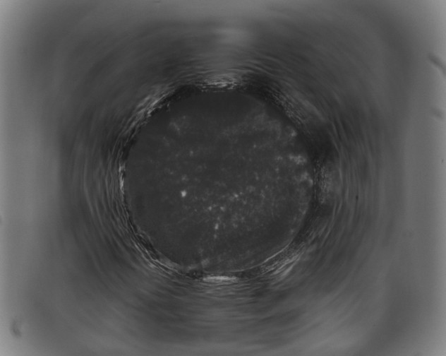 X0000097801394200804041304