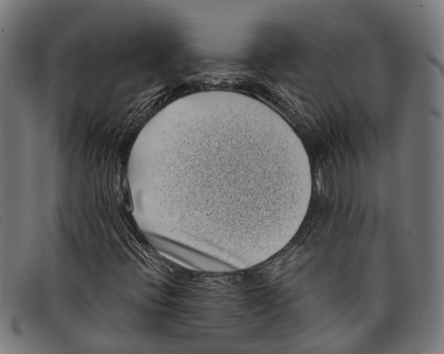 X0000097801396200804041304