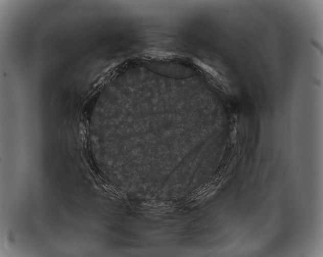 X0000097801397200804041304