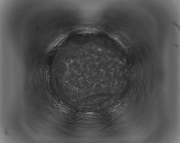 X0000097801399200804041304