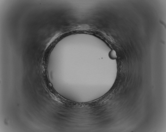 X0000097801400200804041304