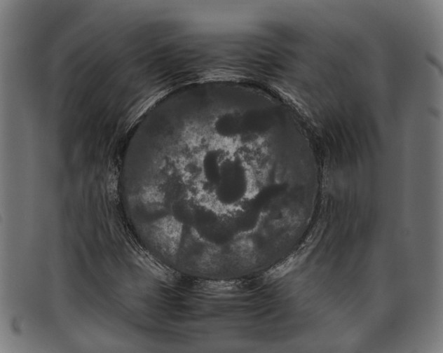 X0000097801401200804041304