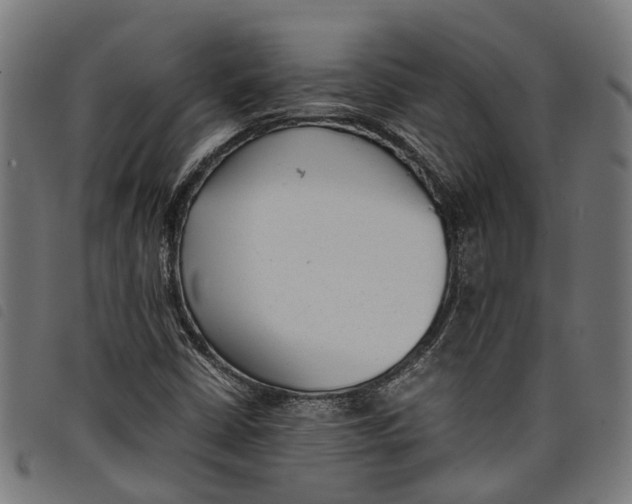 X0000097801402200804041304