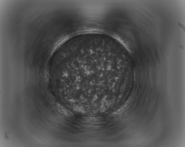 X0000097801405200804041304