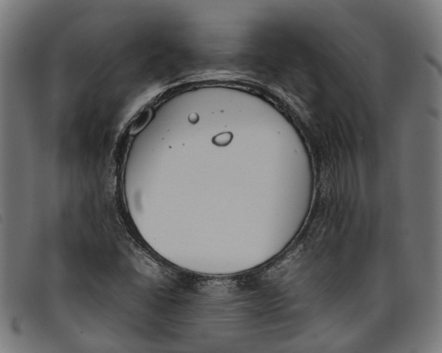 X0000097801406200804041304