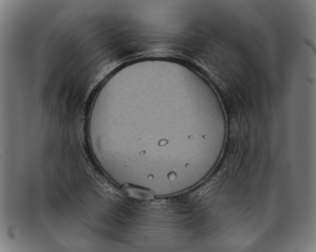 X0000097801410200804041304