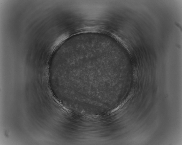 X0000097801411200804041304