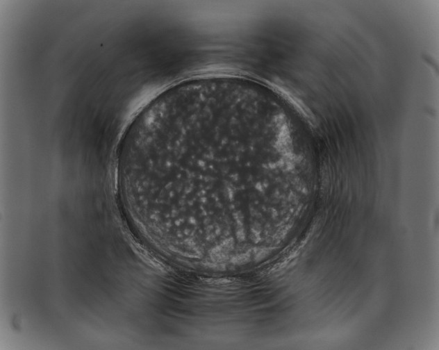 X0000097801413200804041304