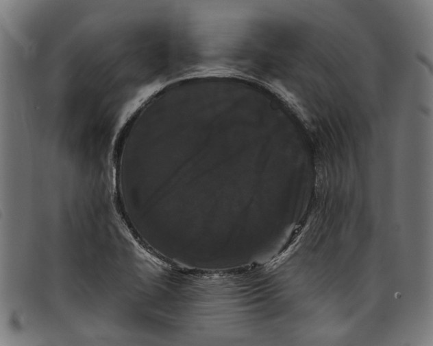 X0000097801414200804041304