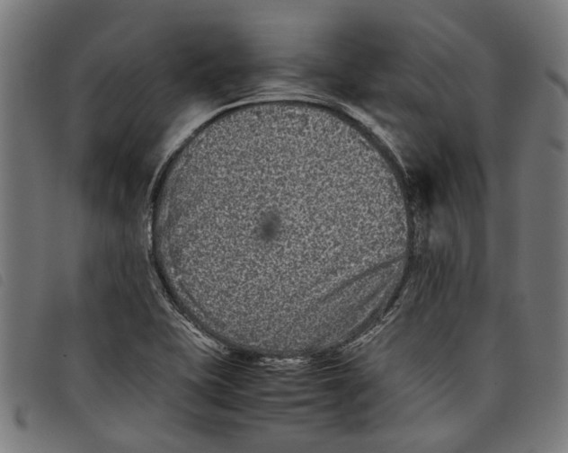 X0000097801415200804041304