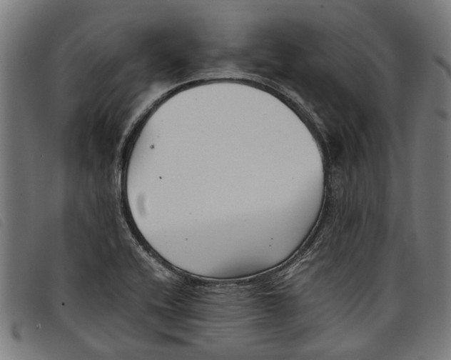 X0000097801416200804041304