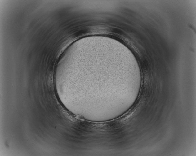 X0000097801417200804041304