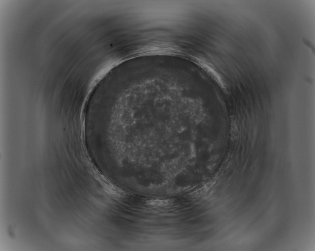 X0000097801419200804041304