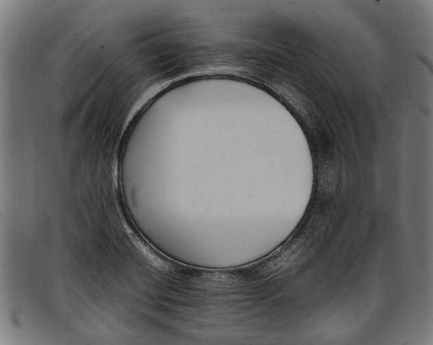 X0000097801420200804041304