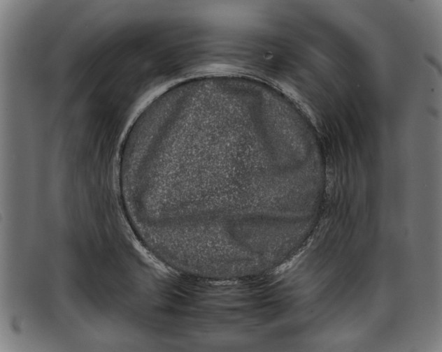 X0000097801421200804041304