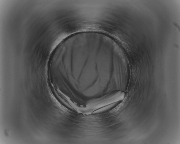 X0000097801422200804041304