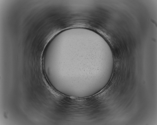 X0000097801423200804041304