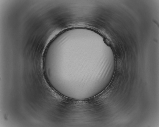 X0000097801424200804041304