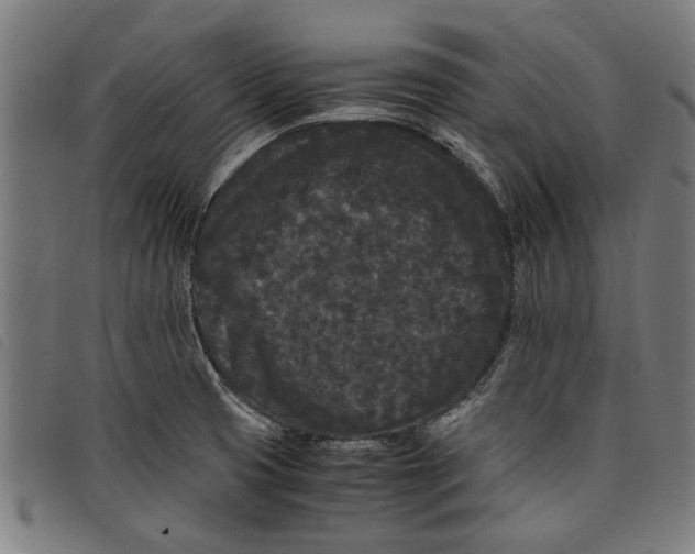 X0000097801425200804041304