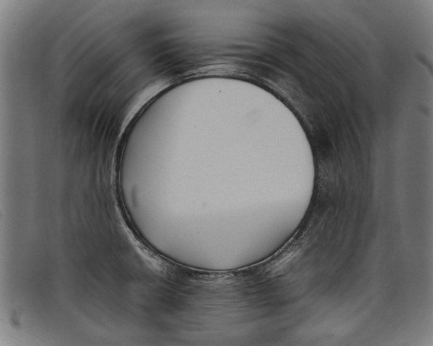 X0000097801426200804041304