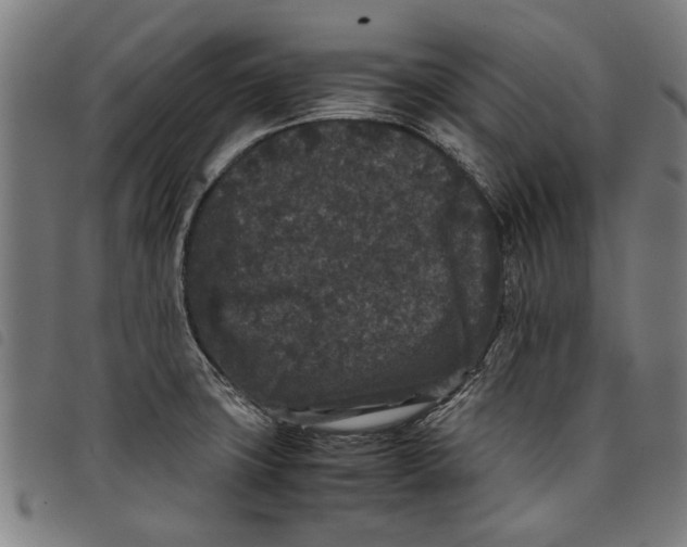 X0000097801427200804041304