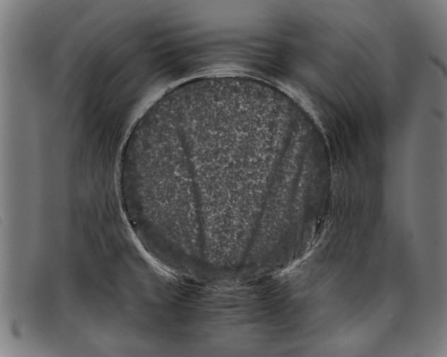 X0000097801429200804041304