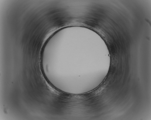 X0000097801430200804041304