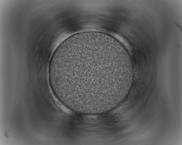 X0000097801431200804041304