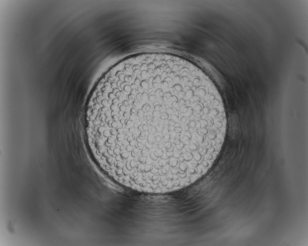 X0000097801432200804041304