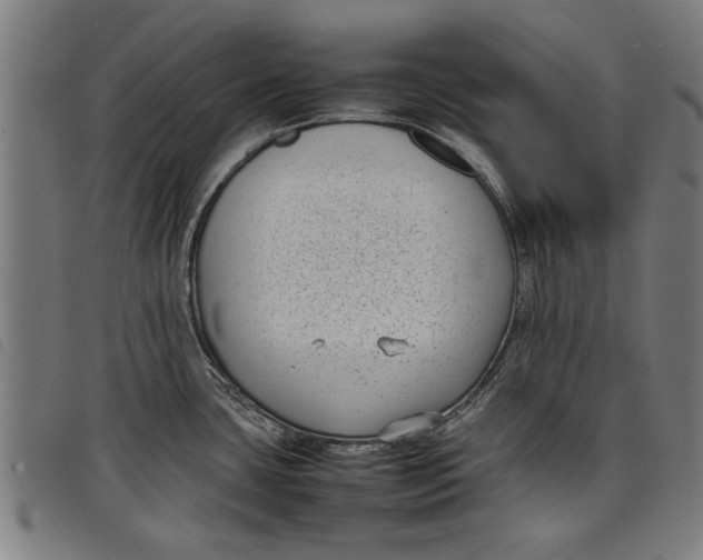 X0000097801435200804041304