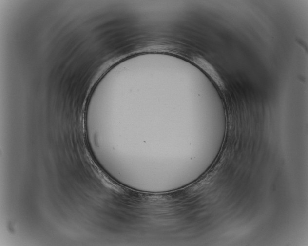 X0000097801436200804041304