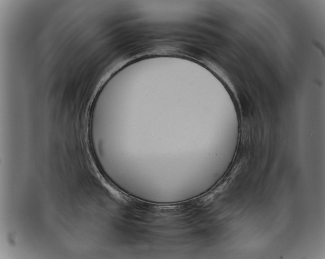 X0000097801437200804041304