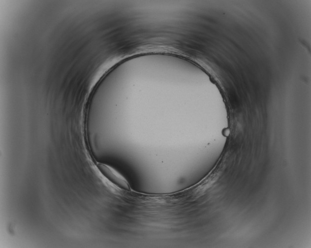 X0000097801438200804041304