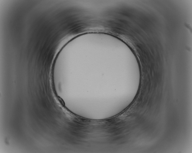 X0000097801440200804041304