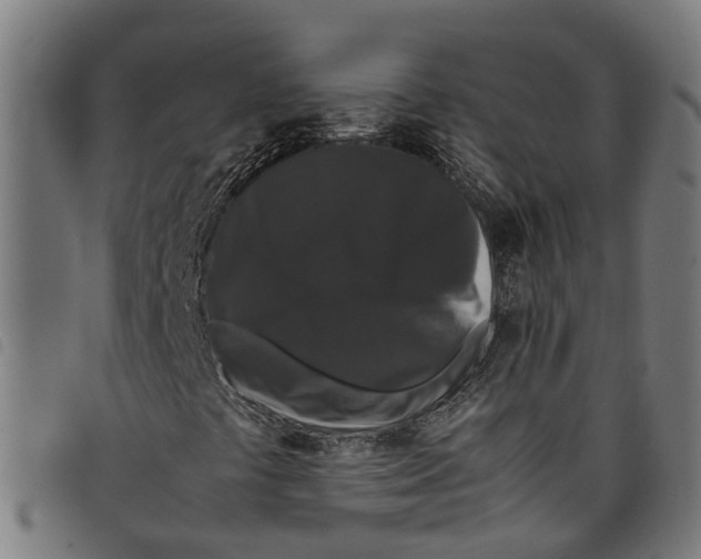 X0000097801441200804041304