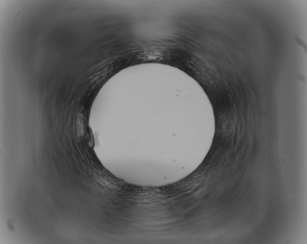 X0000097801442200804041304