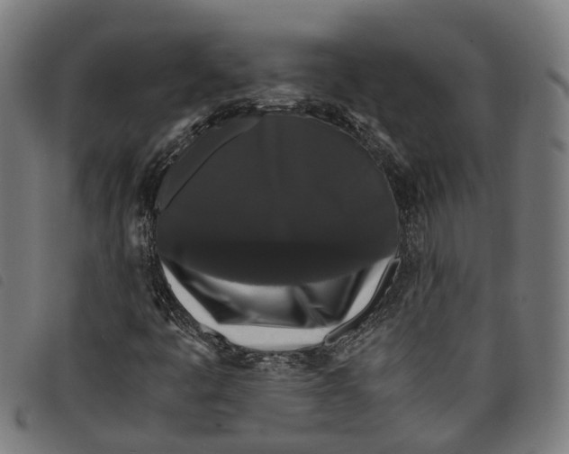 X0000097801445200804041304