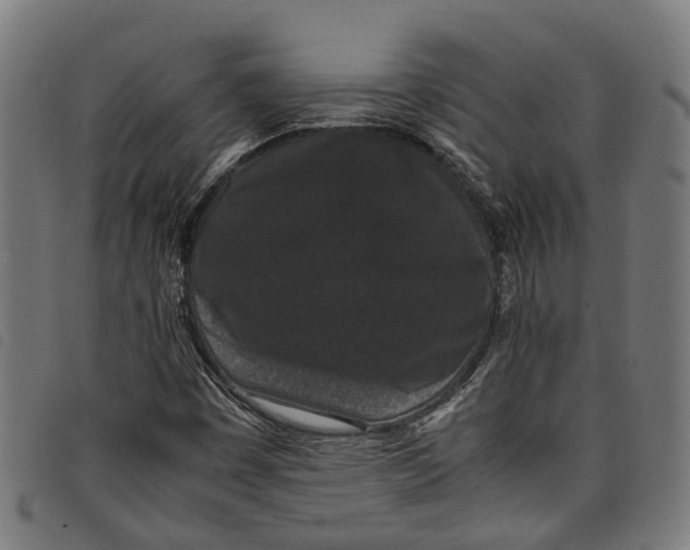 X0000097801449200804041304