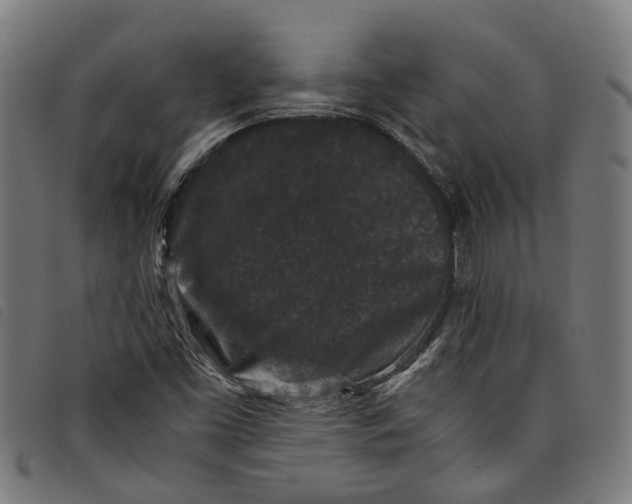 X0000097801453200804041304