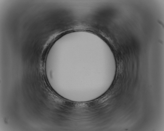 X0000097801454200804041304