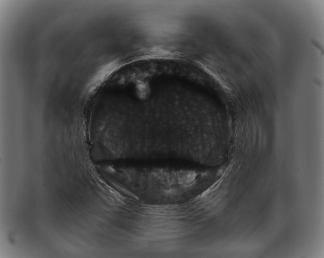 X0000097801455200804041304