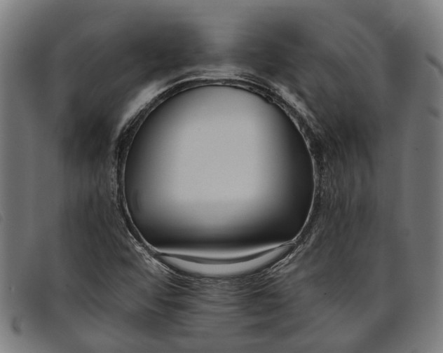 X0000097801456200804041304