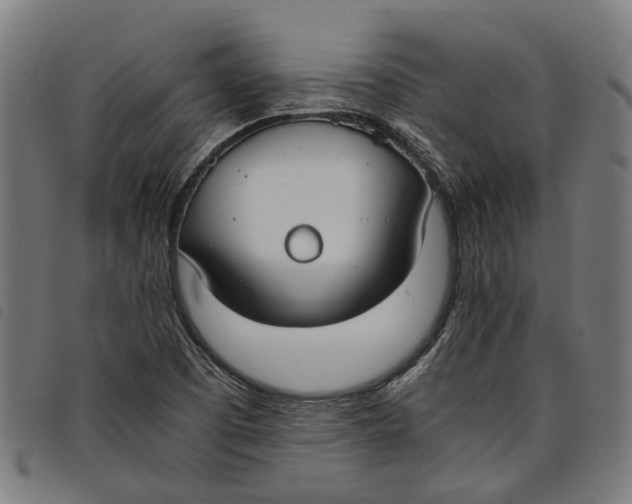 X0000097801457200804041304