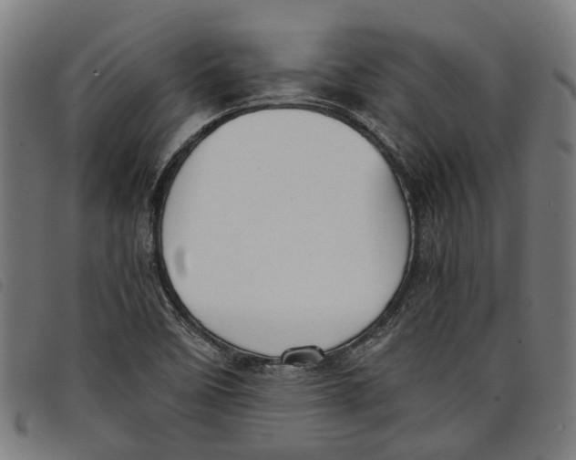 X0000097801458200804041304