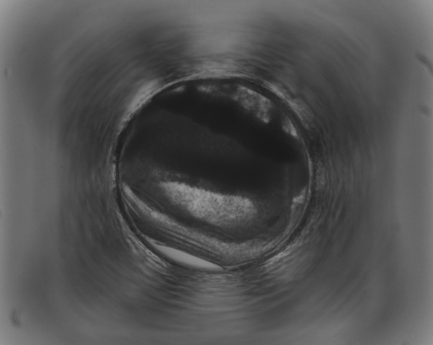 X0000097801459200804041304