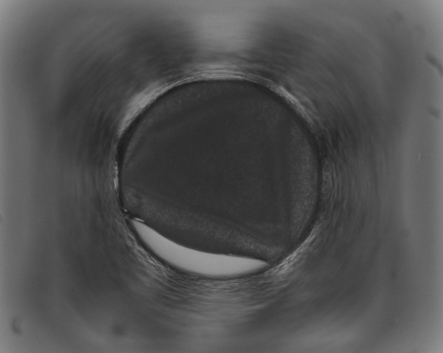 X0000097801461200804041304