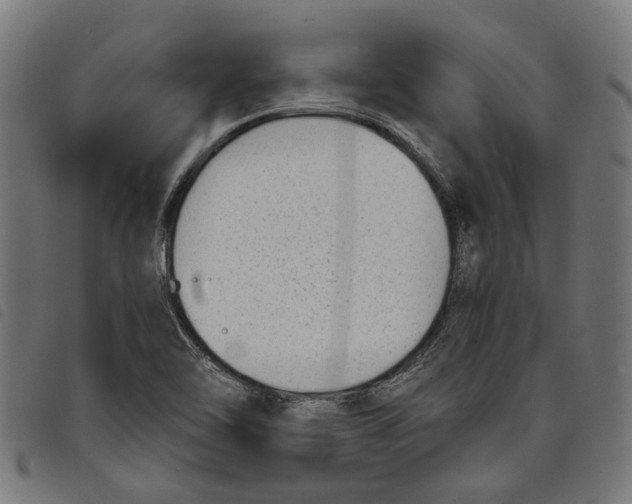 X0000097801462200804041304